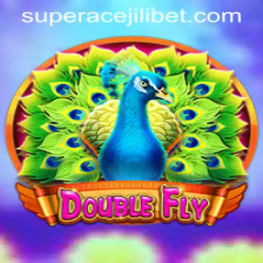 DoubleFly: A Comprehensive Guide to Mastering the Game